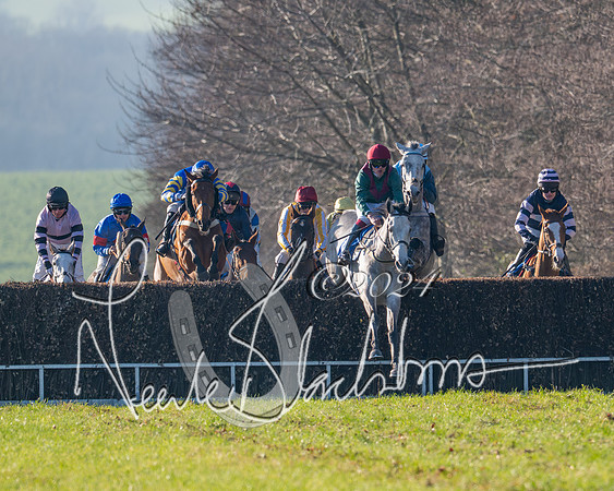 Race 2 - Maiden Race (78 of 147)