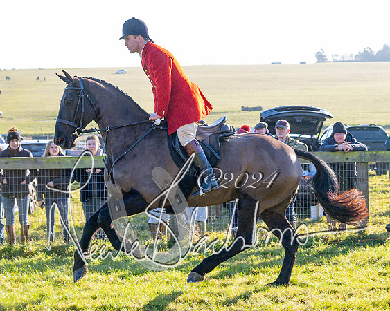 Race 2 - Maiden Race (71 of 147)
