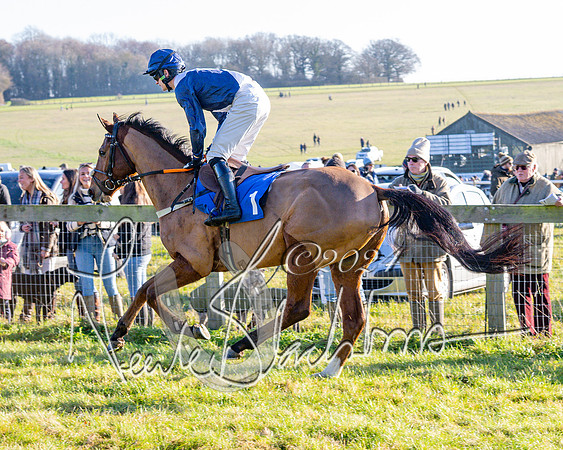 Race 2 - Maiden Race (70 of 147)