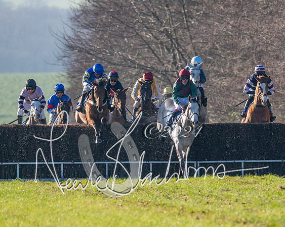 Race 2 - Maiden Race (79 of 147)