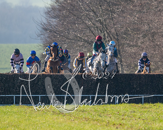 Race 2 - Maiden Race (77 of 147)