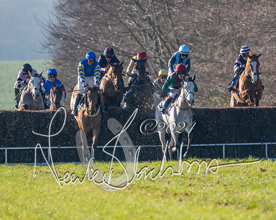 Race 2 - Maiden Race (82 of 147)