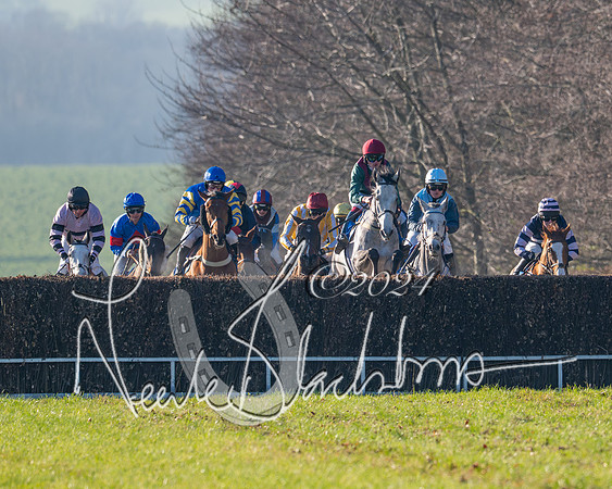 Race 2 - Maiden Race (76 of 147)