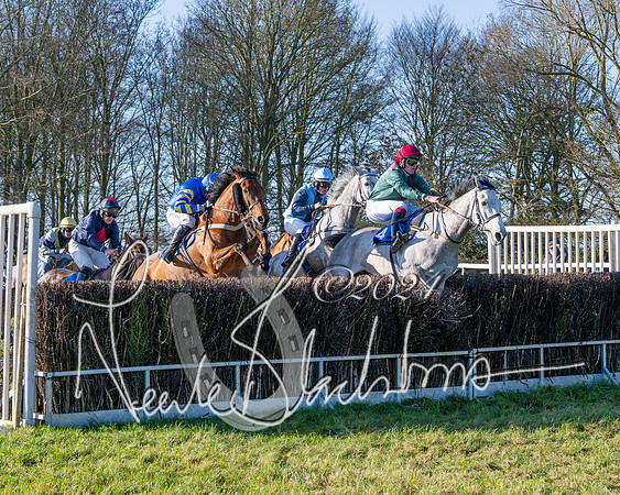 Race 2 - Maiden Race (84 of 147)