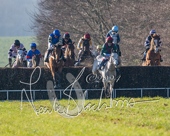 Race 2 - Maiden Race (80 of 147)