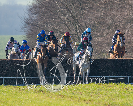 Race 2 - Maiden Race (81 of 147)