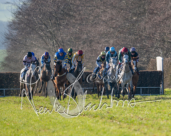 Race 2 - Maiden Race (83 of 147)
