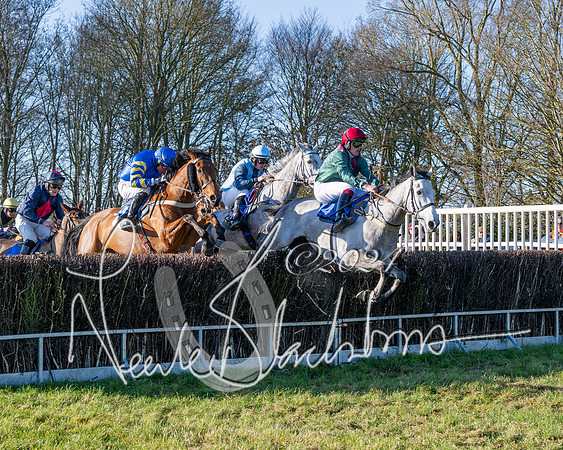Race 2 - Maiden Race (86 of 147)