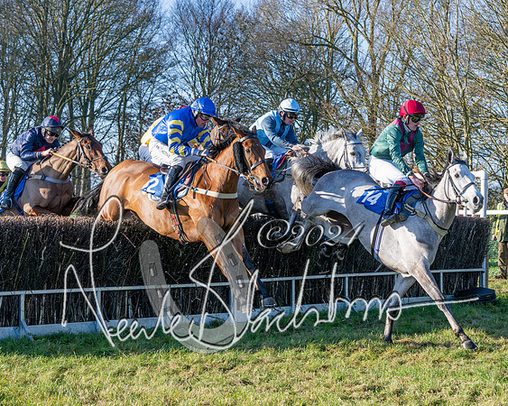 Race 2 - Maiden Race (90 of 147)