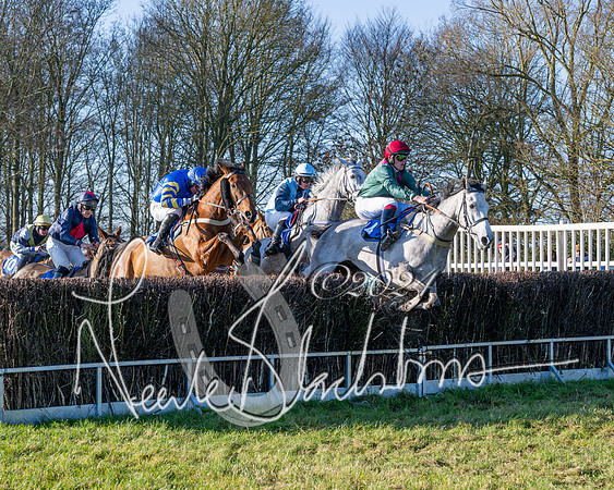 Race 2 - Maiden Race (85 of 147)