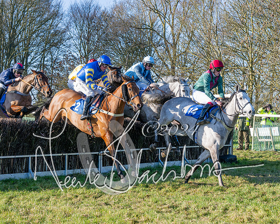Race 2 - Maiden Race (91 of 147)