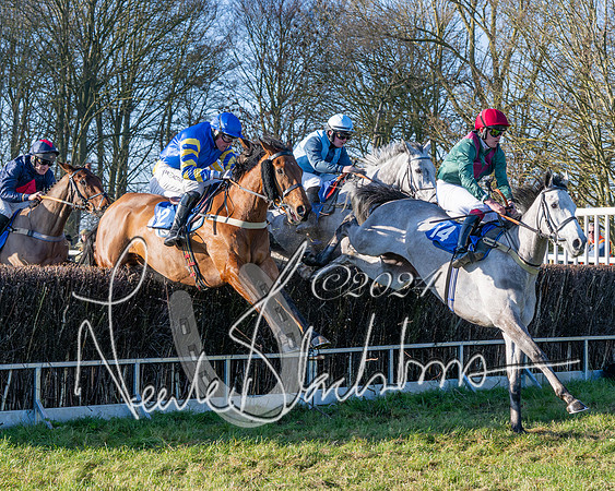 Race 2 - Maiden Race (89 of 147)