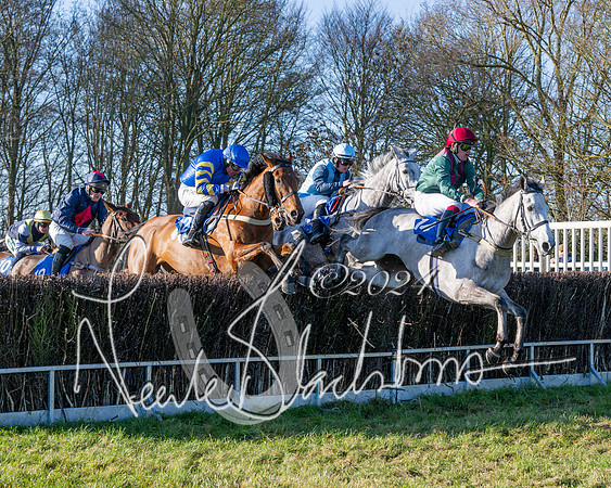 Race 2 - Maiden Race (87 of 147)