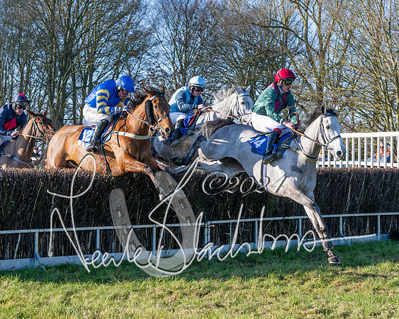 Race 2 - Maiden Race (88 of 147)
