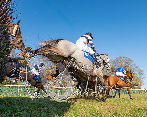 Race 2 - Maiden Race (93 of 147)