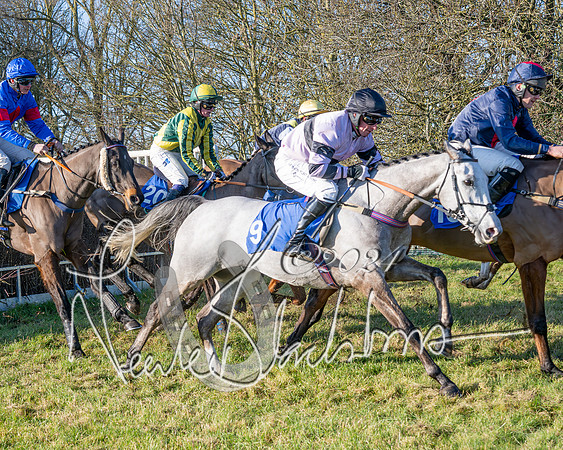 Race 2 - Maiden Race (97 of 147)