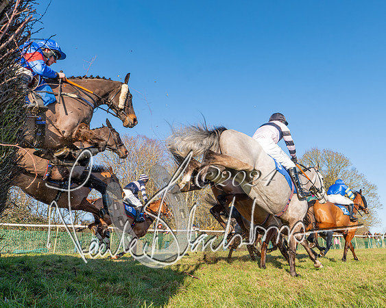 Race 2 - Maiden Race (94 of 147)