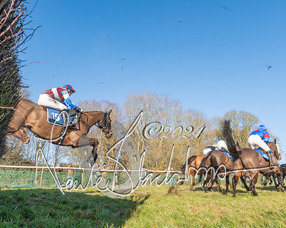 Race 2 - Maiden Race (98 of 147)