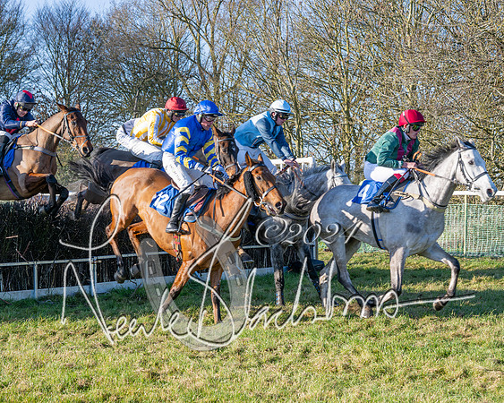 Race 2 - Maiden Race (92 of 147)