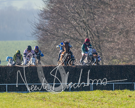 Race 2 - Maiden Race (100 of 147)