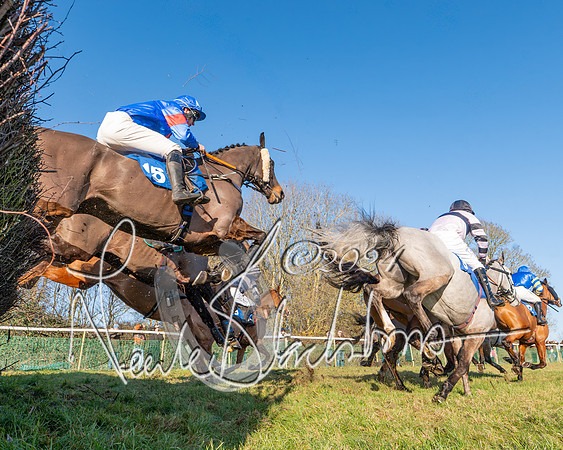Race 2 - Maiden Race (95 of 147)