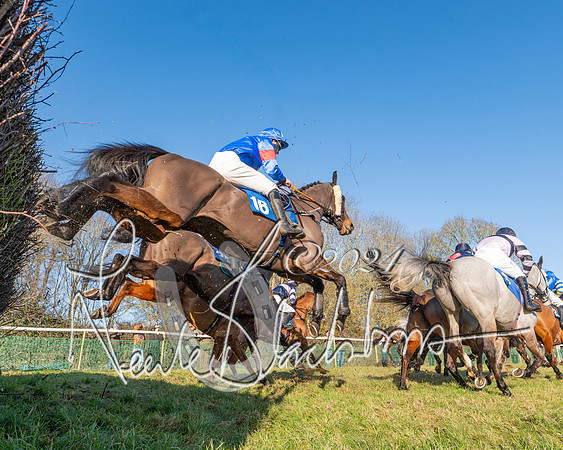 Race 2 - Maiden Race (96 of 147)