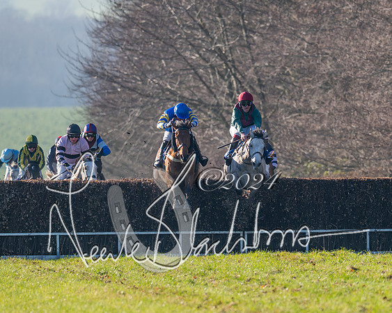 Race 2 - Maiden Race (102 of 147)