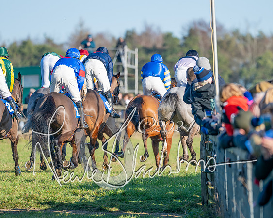 Race 2 - Maiden Race (99 of 147)