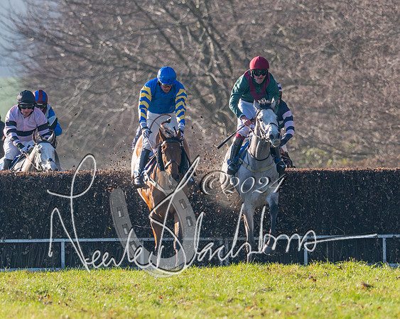 Race 2 - Maiden Race (105 of 147)