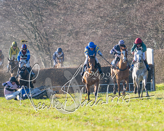 Race 2 - Maiden Race (107 of 147)