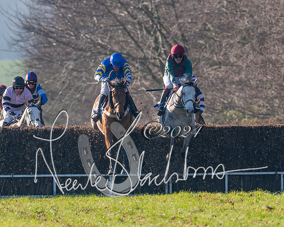 Race 2 - Maiden Race (103 of 147)