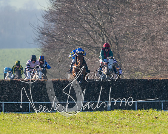 Race 2 - Maiden Race (101 of 147)