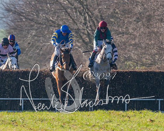 Race 2 - Maiden Race (104 of 147)