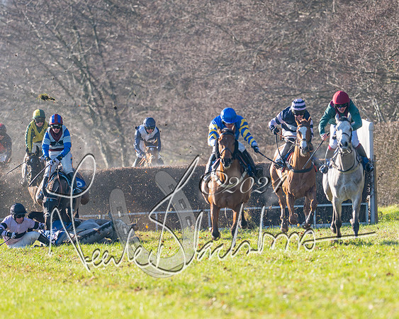 Race 2 - Maiden Race (108 of 147)