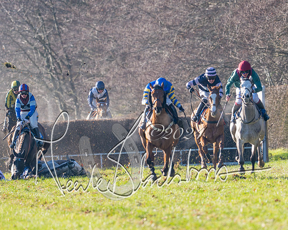 Race 2 - Maiden Race (109 of 147)