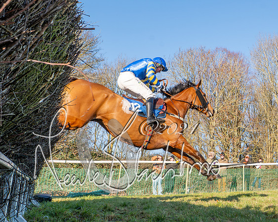 Race 2 - Maiden Race (112 of 147)