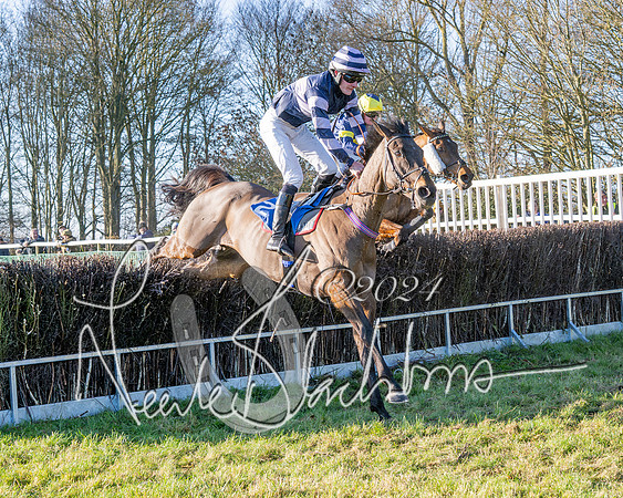 Race 3 - PPORA Novice Riders (39 of 125)