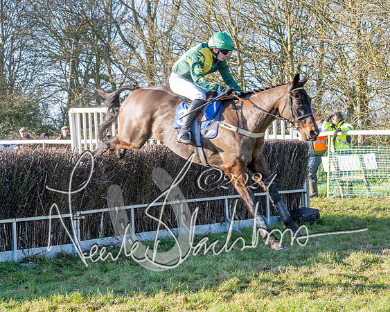 Race 3 - PPORA Novice Riders (43 of 125)