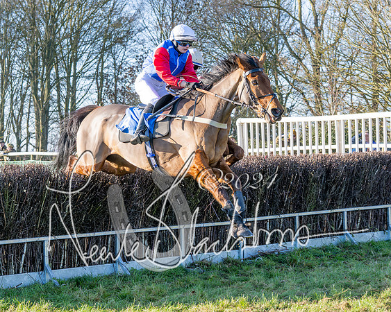 Race 3 - PPORA Novice Riders (54 of 125)