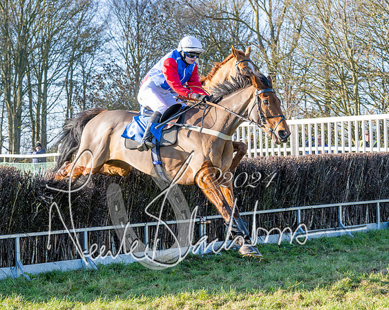 Race 3 - PPORA Novice Riders (53 of 125)