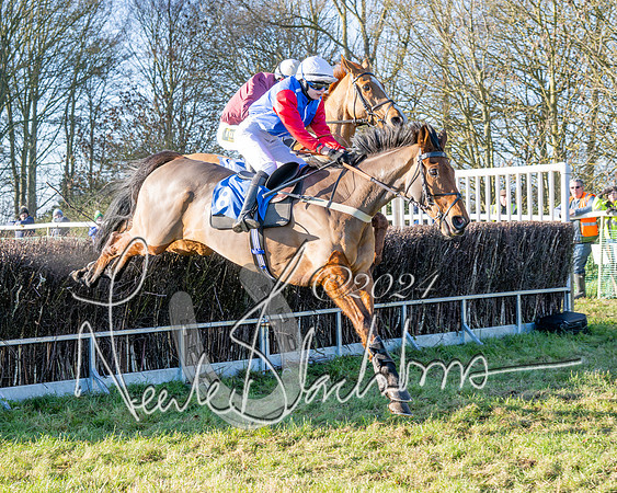 Race 3 - PPORA Novice Riders (52 of 125)