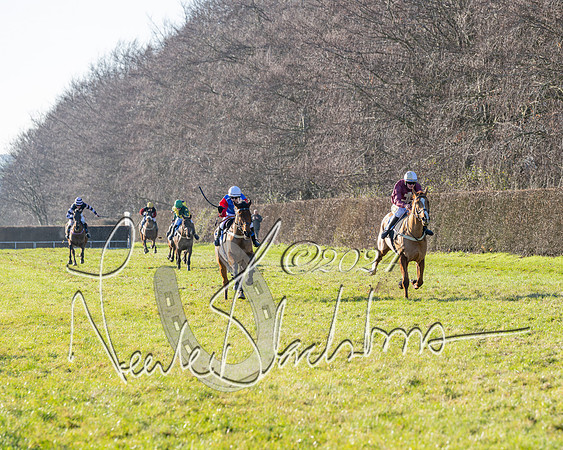 Race 3 - PPORA Novice Riders (60 of 125)