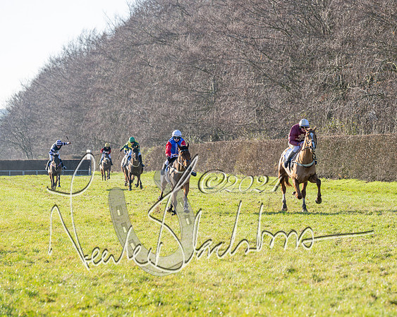 Race 3 - PPORA Novice Riders (59 of 125)