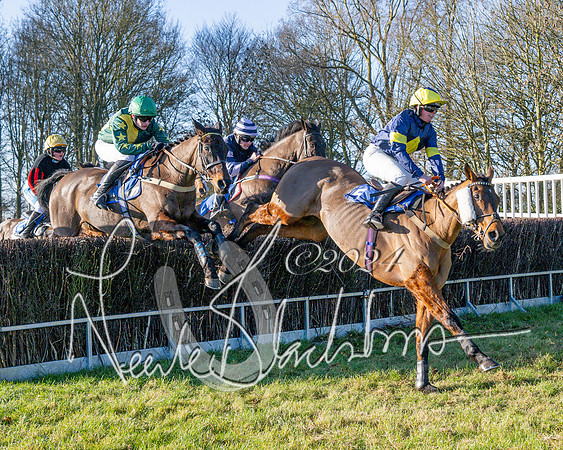 Race 3 - PPORA Novice Riders (69 of 125)