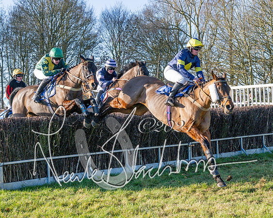 Race 3 - PPORA Novice Riders (70 of 125)