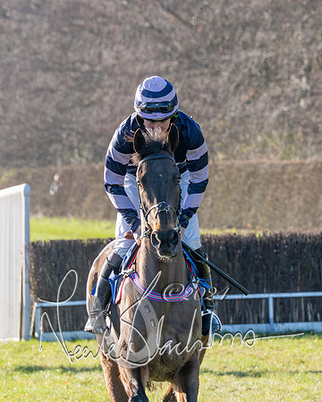 Race 3 - PPORA Novice Riders (83 of 125)