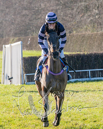 Race 3 - PPORA Novice Riders (84 of 125)