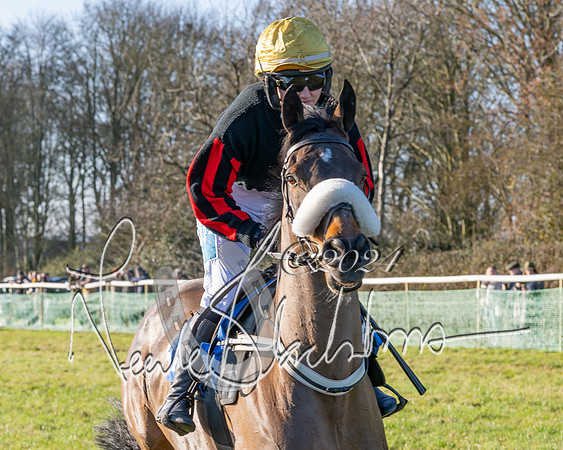 Race 3 - PPORA Novice Riders (90 of 125)