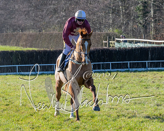 Race 3 - PPORA Novice Riders (94 of 125)
