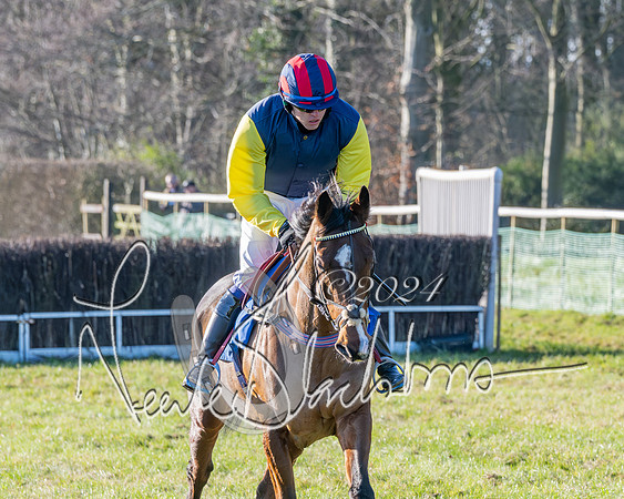 Race 3 - PPORA Novice Riders (96 of 125)